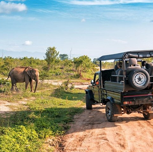 Udawalawe National park