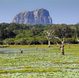 Yala National park Block 1